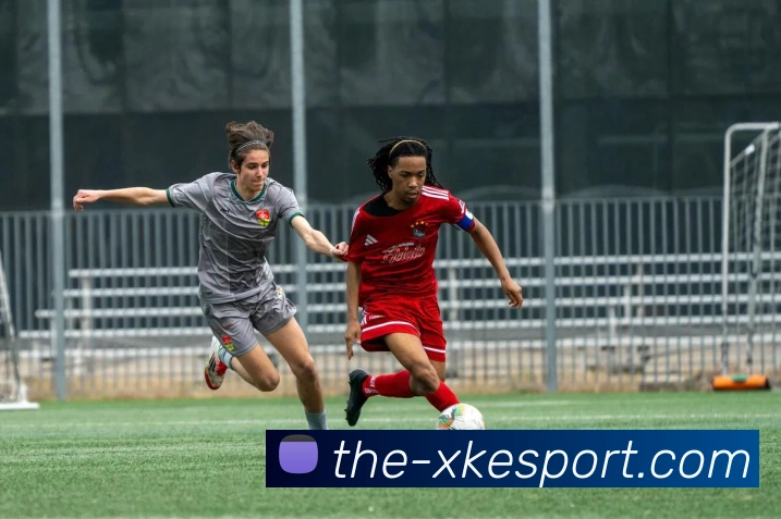 星空电竞平台生态图